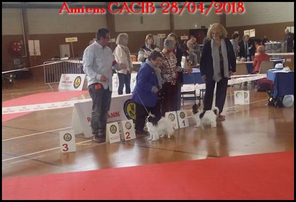 Mai lie amiens 28 04 2018 1