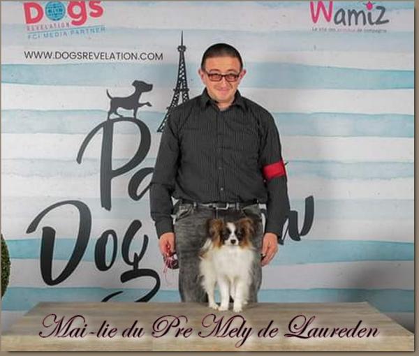 Mai lie paris dog show 2