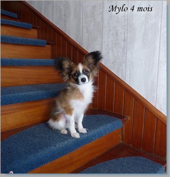 Mylo 4 mois 1