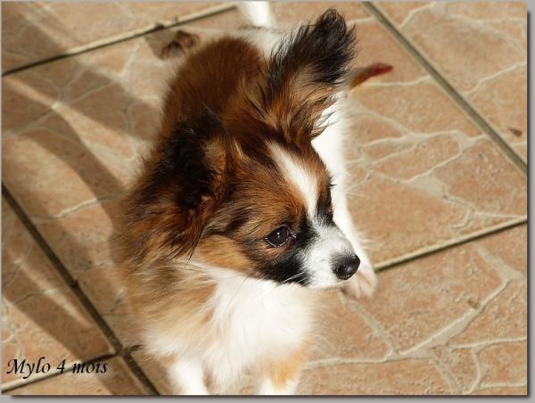Mylo 4 mois 3