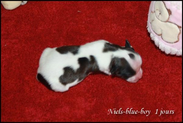 Niels blue boy 1 jour 5