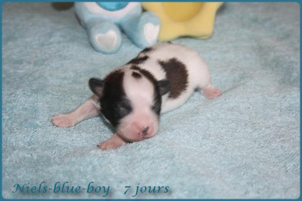 Niels blue boy 7 jours 5