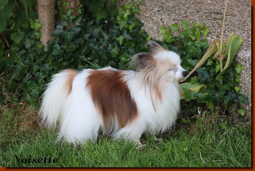 Noisette16 ans 1