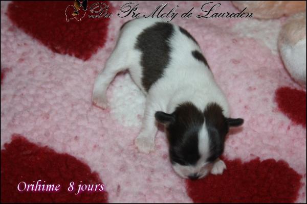 Orihime 8 jours 3