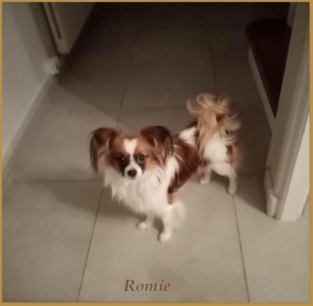 Romie 1 an 2