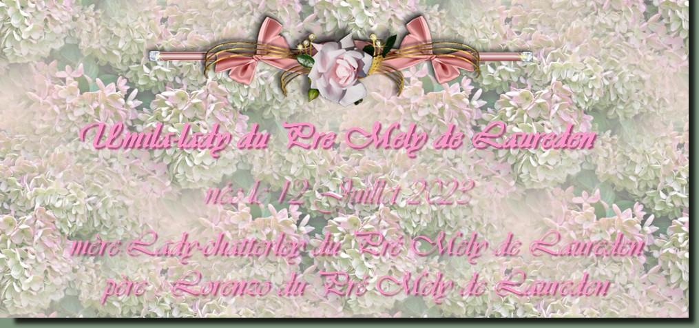 Umila lady titre