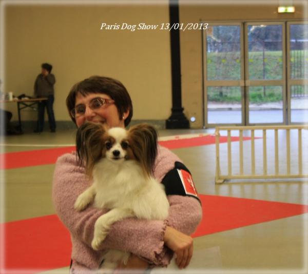 x-mystix-paris-dog-show-01-2013-8.jpg